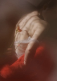狐狐狸狸