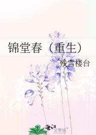 锦堂香事小说
