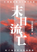 末日流亡骑士传