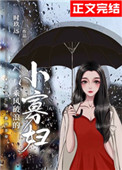 乘风破浪的小汽车