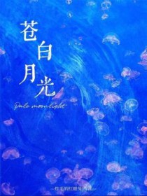 欢迎入梦作者:苍白月光
