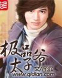 极品太子免费完整版
