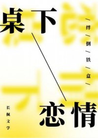 桌下隐形抽屉式收纳盒